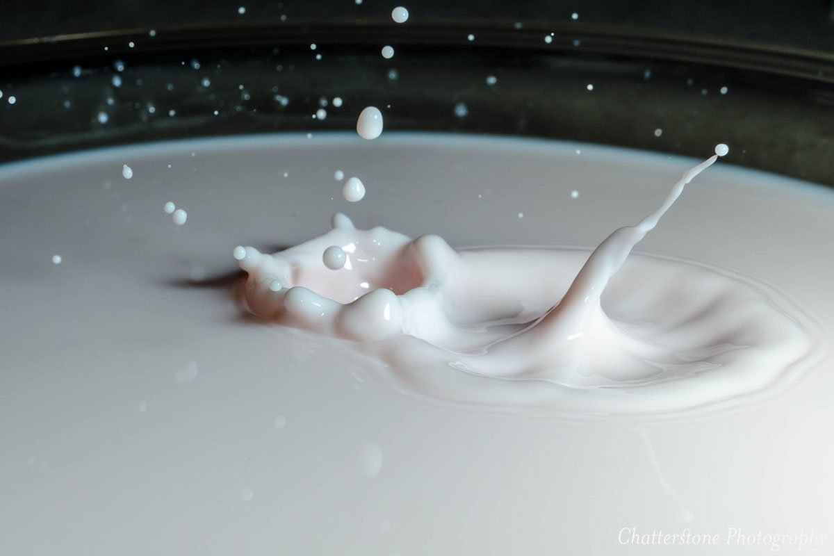 lait_©_Chatterstone_Photography_BD