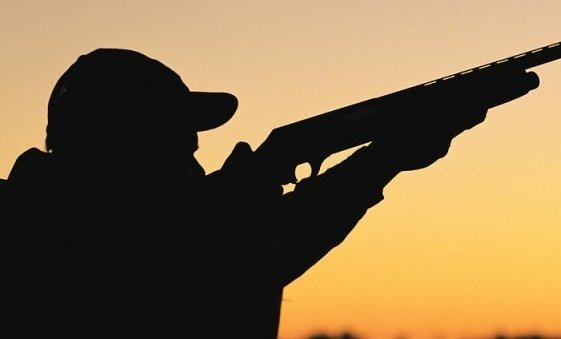 chasse et permis de chasse